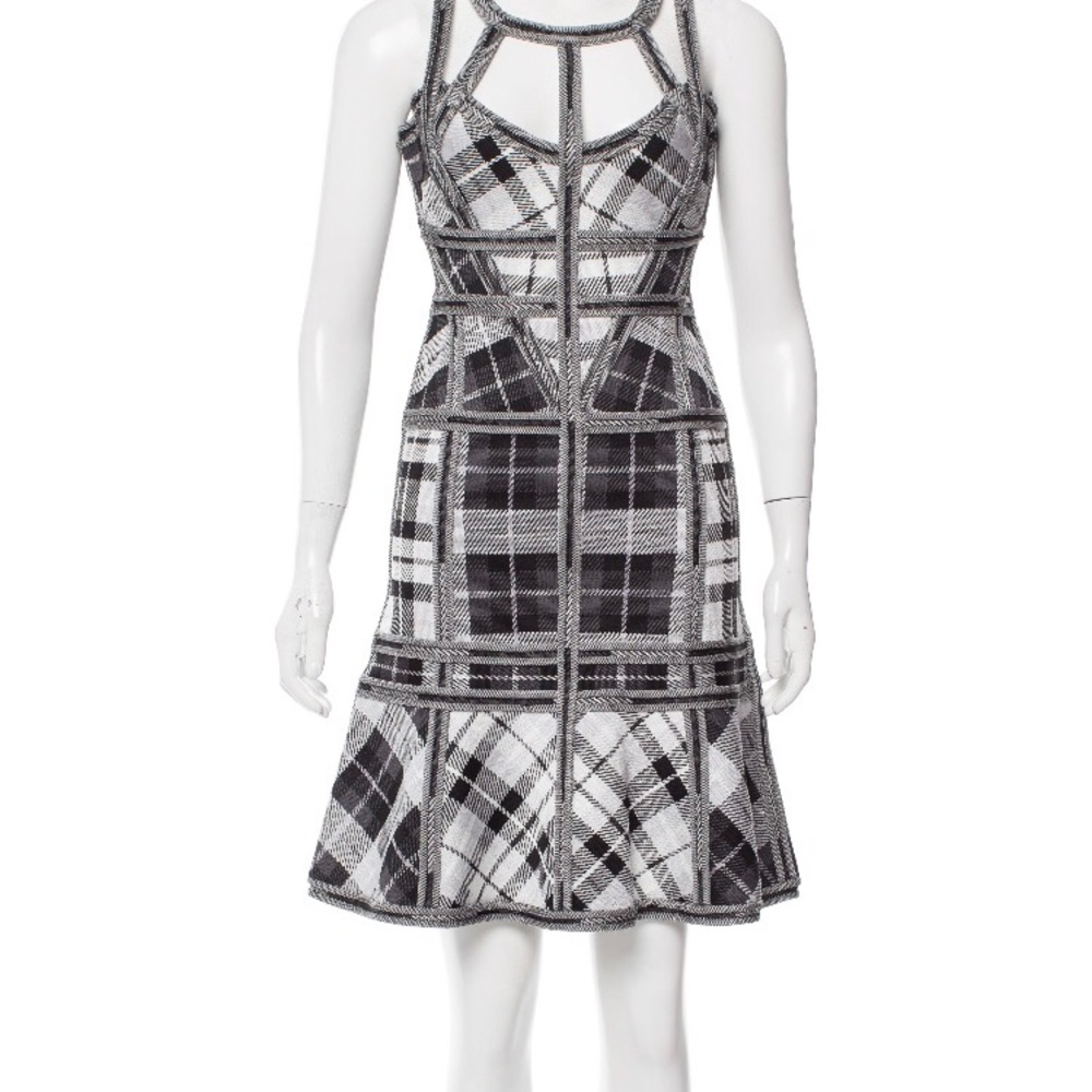 Herve ledger dress beautiful